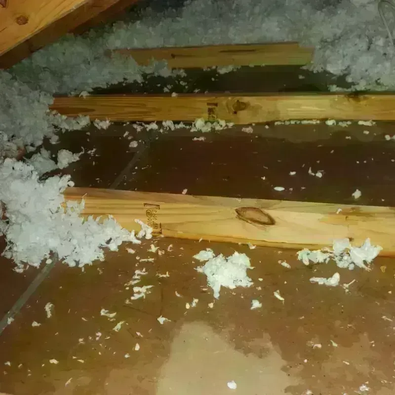 Attic Water Damage in Wallburg, NC