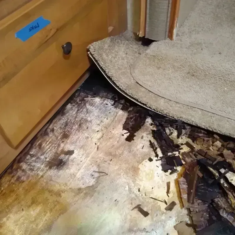 Best Wood Floor Water Damage Service in Wallburg, NC